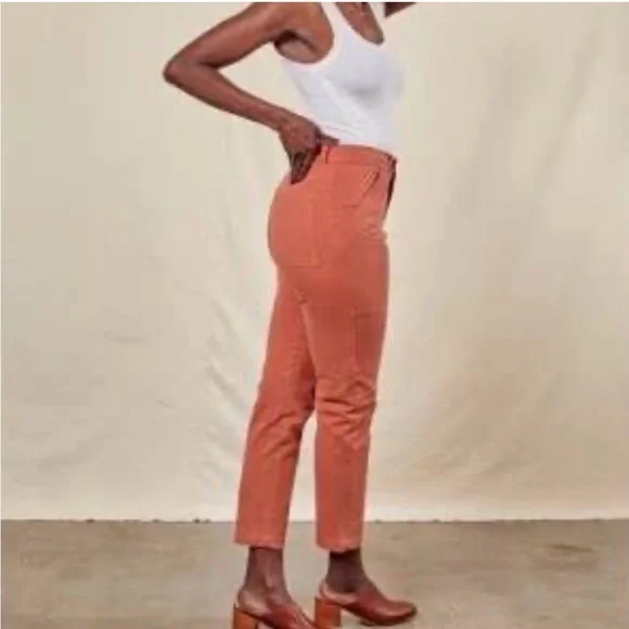 Big Bud Press Work Pants in terracotta - Picture 2 of 6